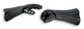 Gloves