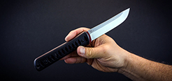 Breeden Torrent Fixed Blade