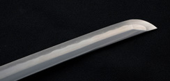 Lotus Seed Wakizashi