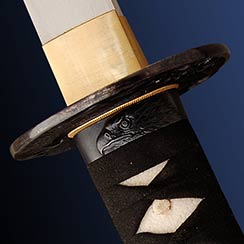 Raptor Wakizashi
